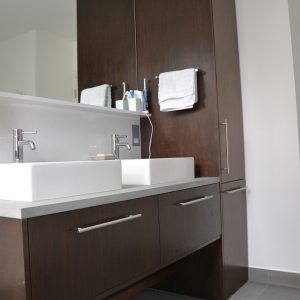 Custom toilet cabinets